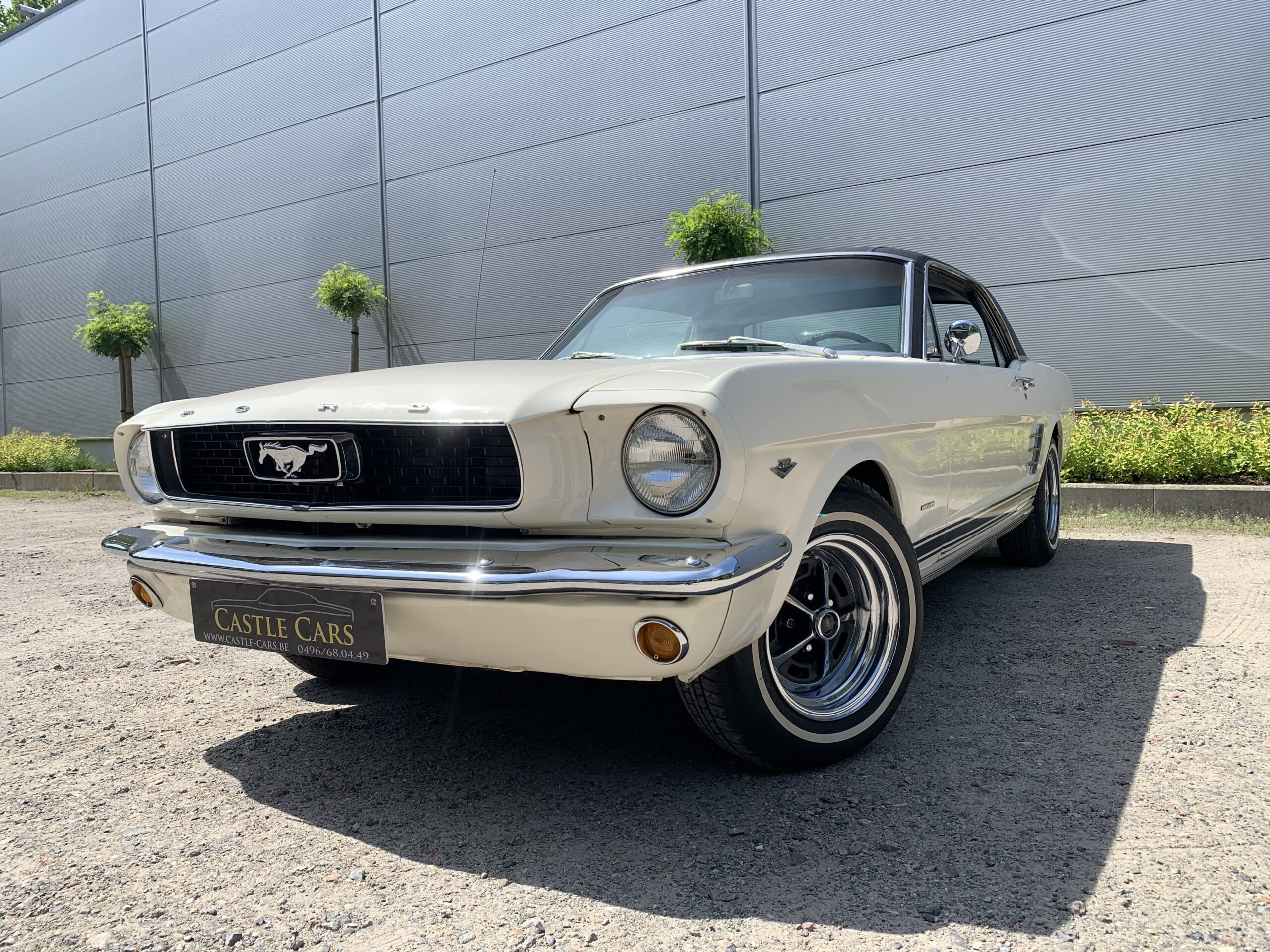 mustang auto