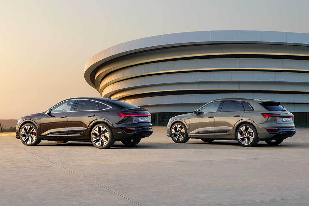 audi bedrijfswagens