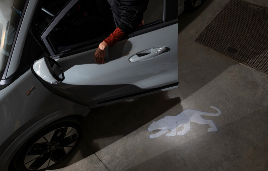 fordpuma