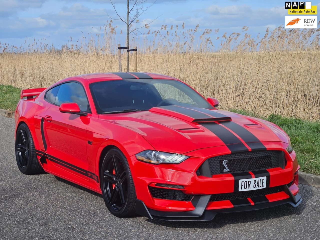 mustang v8 gt